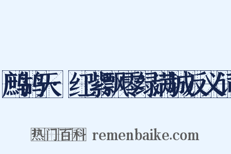 鹧鸪天·红紫飘零绿满城反义词是什么意思的图片